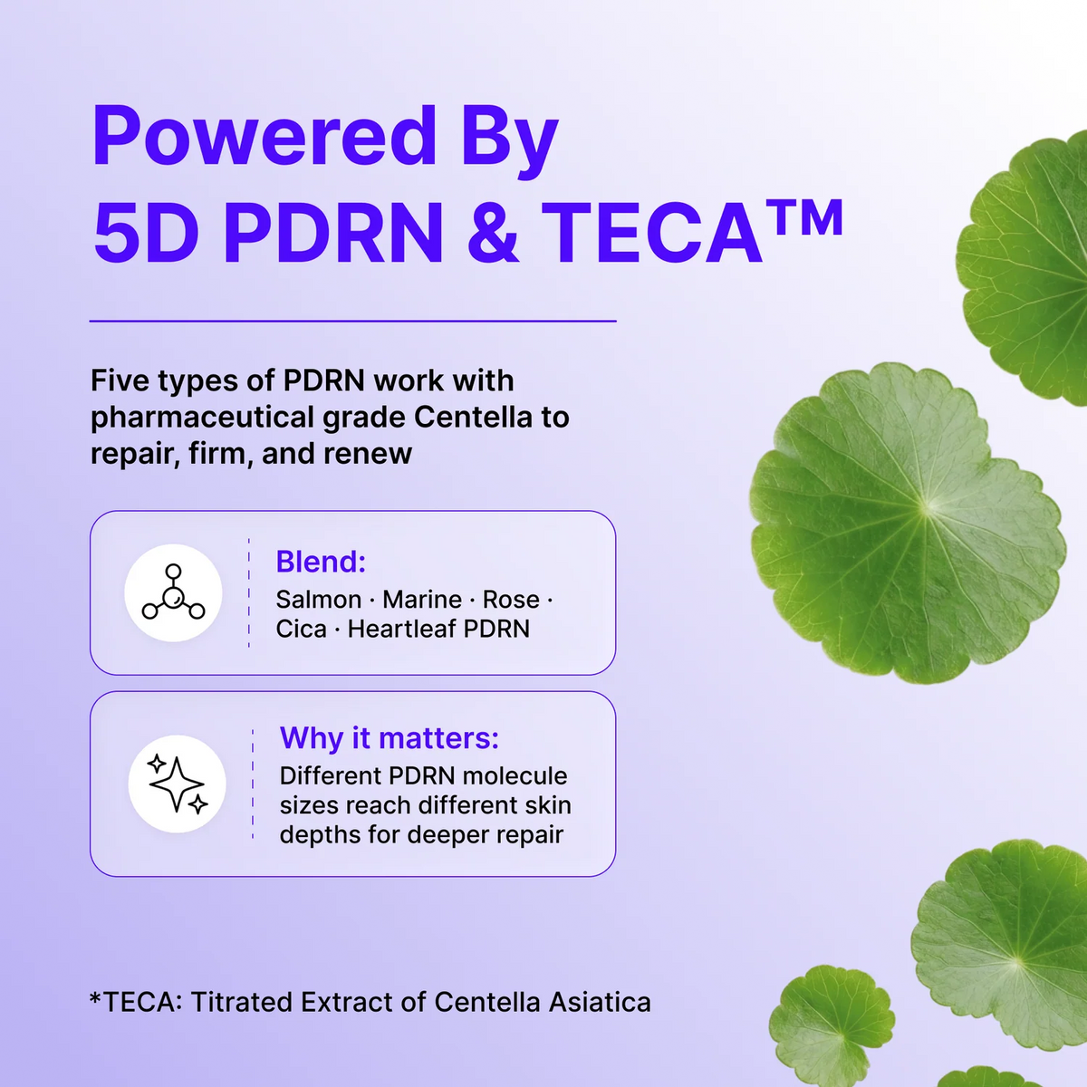 Madeca Cream - Time Reverse & PDRN Duo